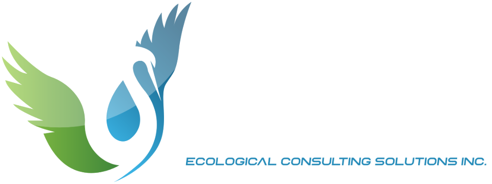 ECS — Ecological Consulting Solutions Inc.